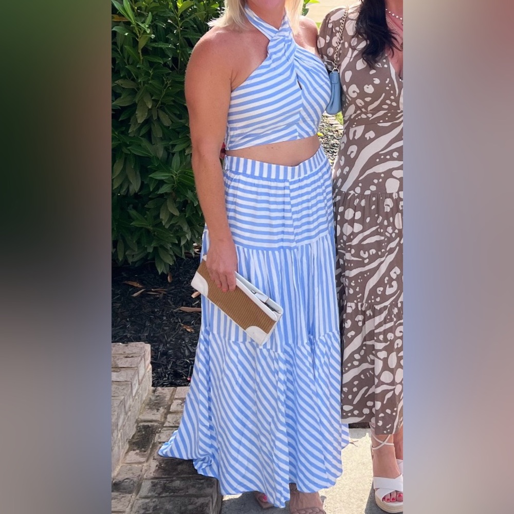 Petal & Pup Blue and White Striped Skirt and Top